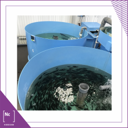 Эффективность кондиционера Amsorb подтверждена Новосибирскими учеными